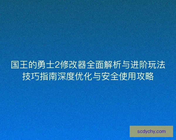 国王的勇士2修改器全面解析与进阶玩法技巧指南深度优化与安全使用攻略