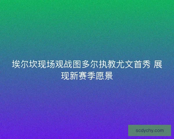 埃尔坎现场观战图多尔执教尤文首秀 展现新赛季愿景